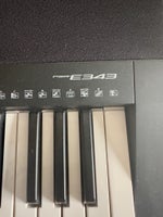 Keyboard, Yamaha psr E 343