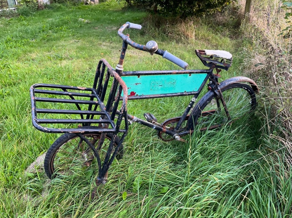 Budcykel