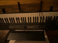 Keyboard, Casio Lk5450
