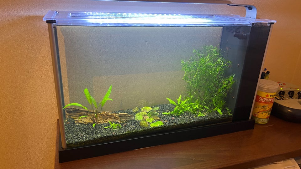 Akvarium, 19 liter, b: 52 d: 19 h: 30