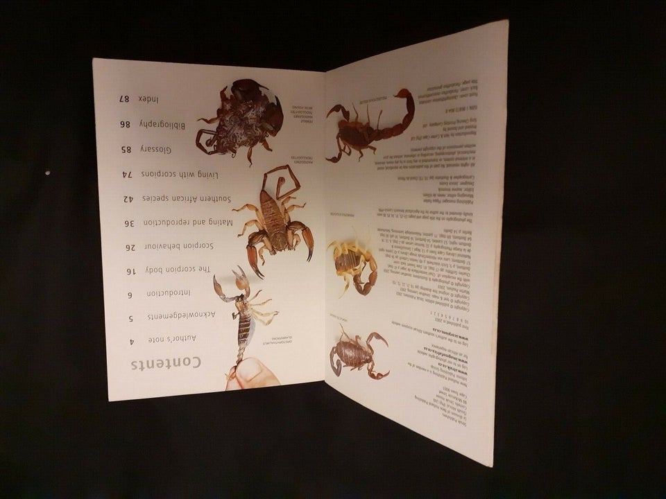 Scorpions, Jonathan Leeming fra struik, emne: dyr