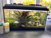 Akvarium, 60 liter
