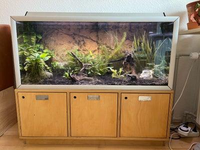 Akvarium, 180 liter, b: 100 d: 40 h: 45, Akvastabil akvarie sælges med udstyr, planter, 3D baggrund,