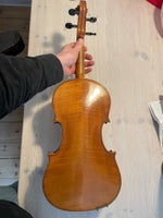 Violin, Violin, 1900-1920 fra Markneukirchen