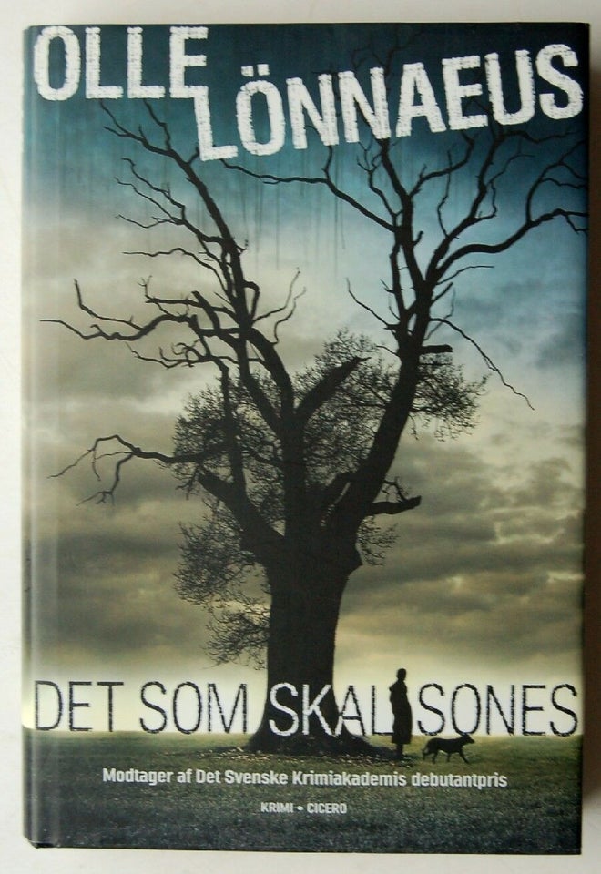 DET SOM SKAL SONES, Olle Lönnaeus, genre: krimi og spænding