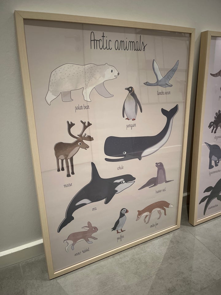 Børne plakater, Sebra, motiv: Dyr