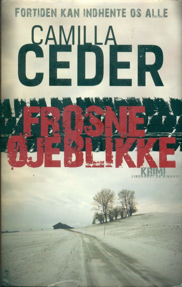 Frosne øjeblikke, Camilla Ceder, genre: krimi og spænding