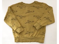 Sweatshirt, Dinosaur, H&M