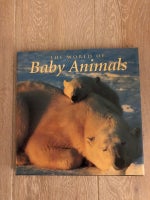 Baby animals, _, emne: dyr