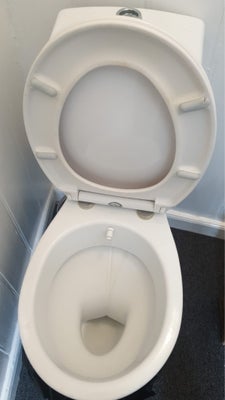 Toilet, Brugt men fin toilet til salg