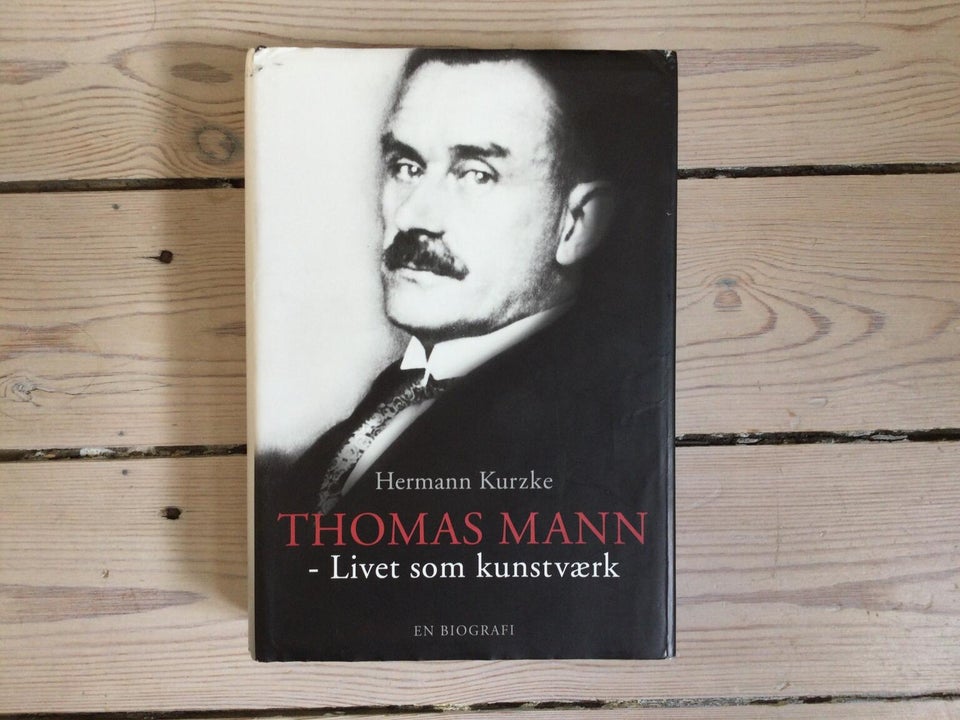 Thomas Mann- livet som kunstværk, Hermann Kurzke, emne: