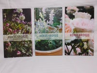 Hokus Krokus om roser, blomsterbede og krukker, Britt