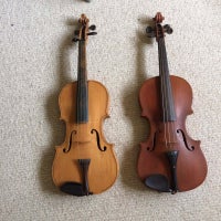 Violiner