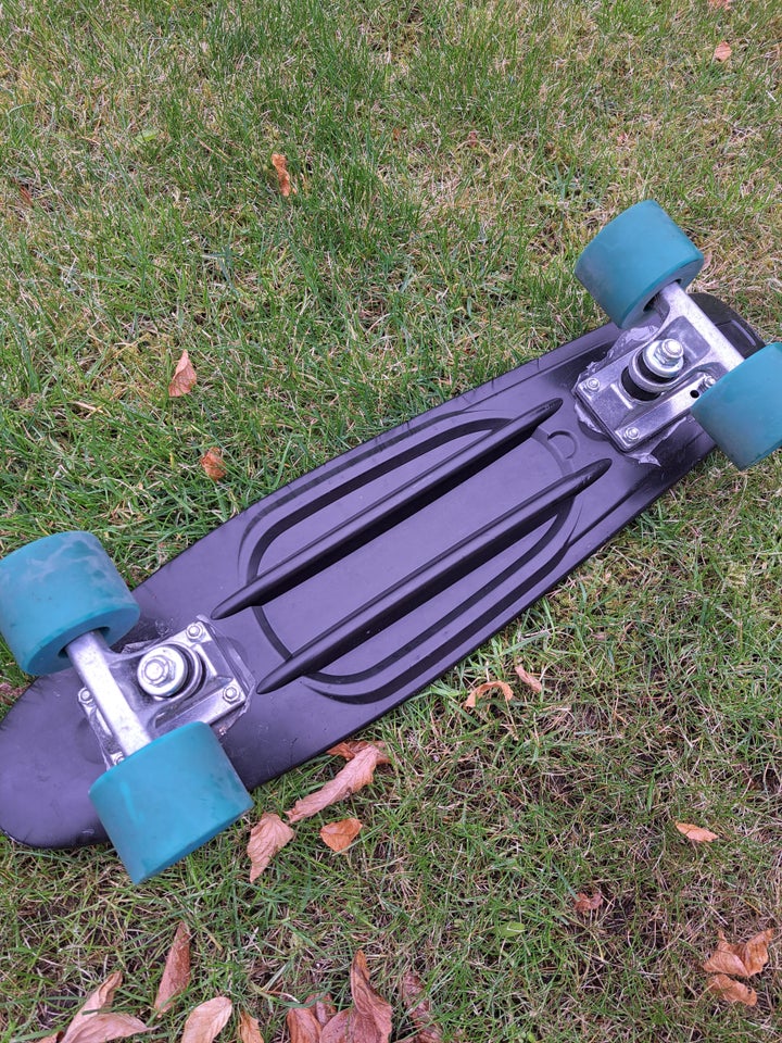 Skateboard, Pennyboard