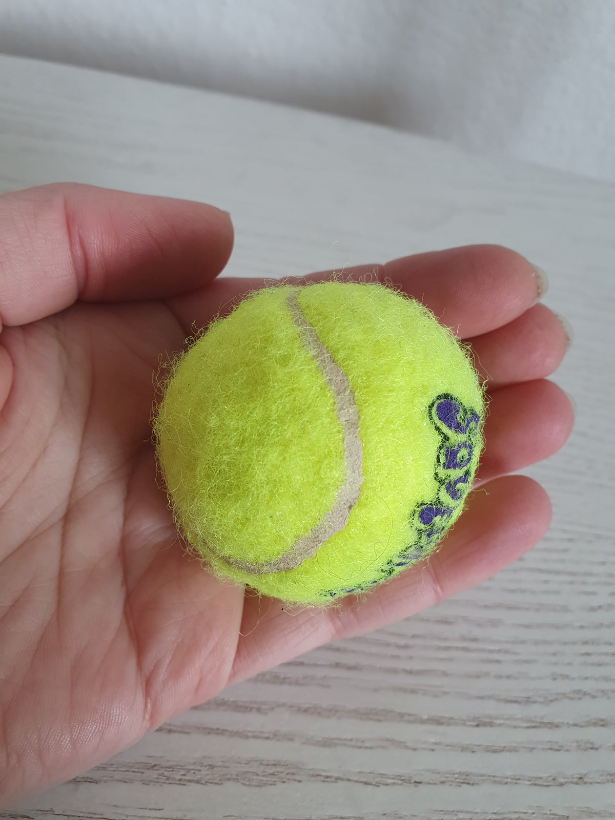Hundelegetøj, Kong 5 cm bold med piv