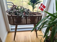 Plantebord, Wood plant stand indoor