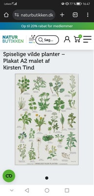 Plakat, Kirsten Tind, motiv: Spiselige vilde planter, Helt ny plakat, stadig i emballage. Fra røg-og