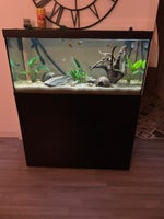 Akvarium, 180 liter