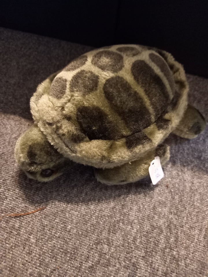 Skildpadde