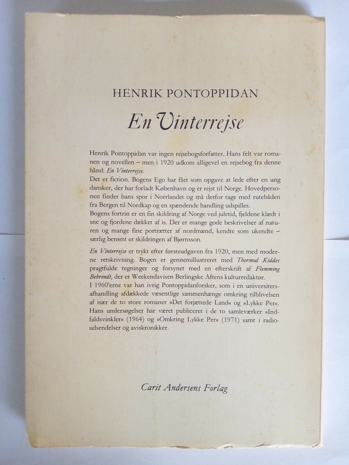En Vinterrejse, Henrik Pontoppidan, genre: roman