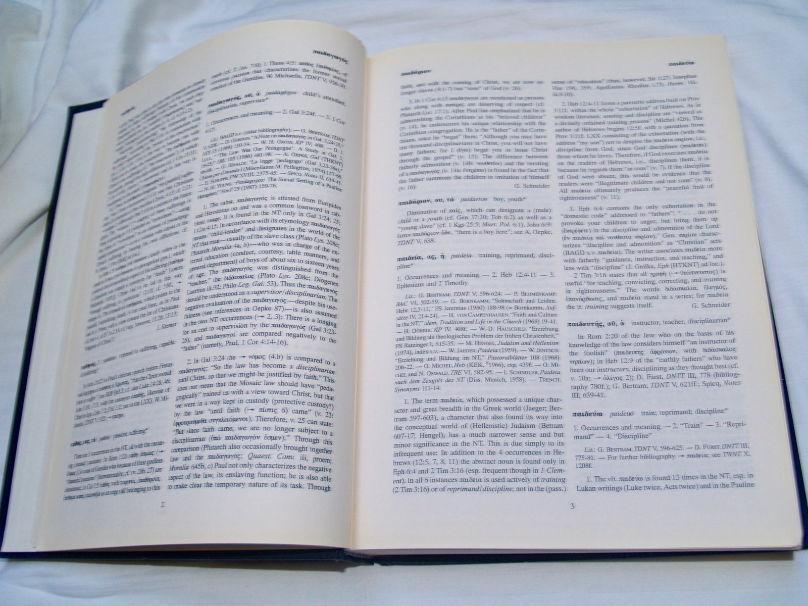 Exegetical Dictionary, of the New Testament