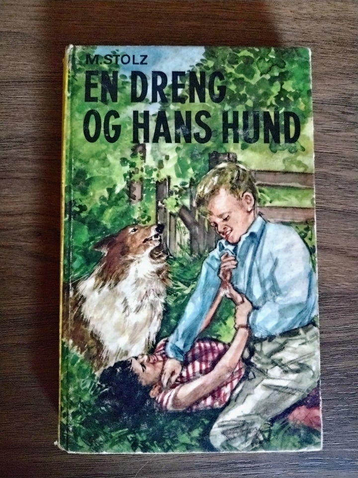 En dreng og hans hund, M Stolz