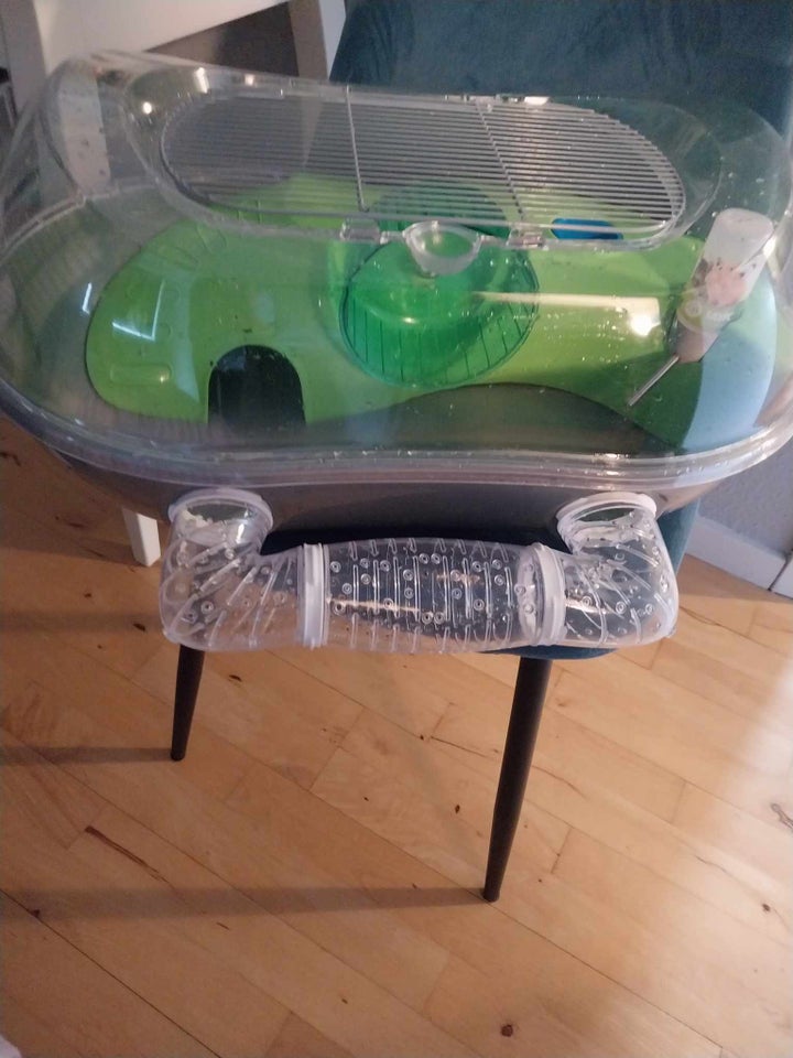 Hamster Cage