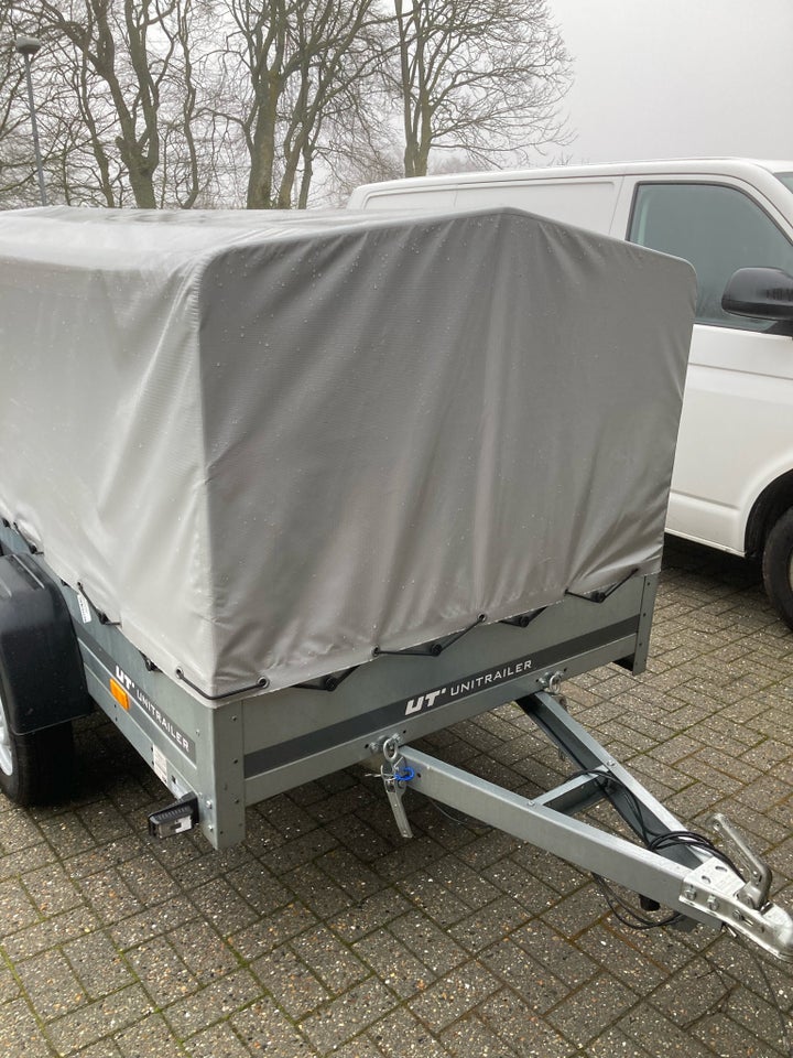 Trailer, Temaerd Sgv2, lastevne (kg): 500