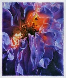 Pastel Flower Painting on Paper (#594, SLC USA) 