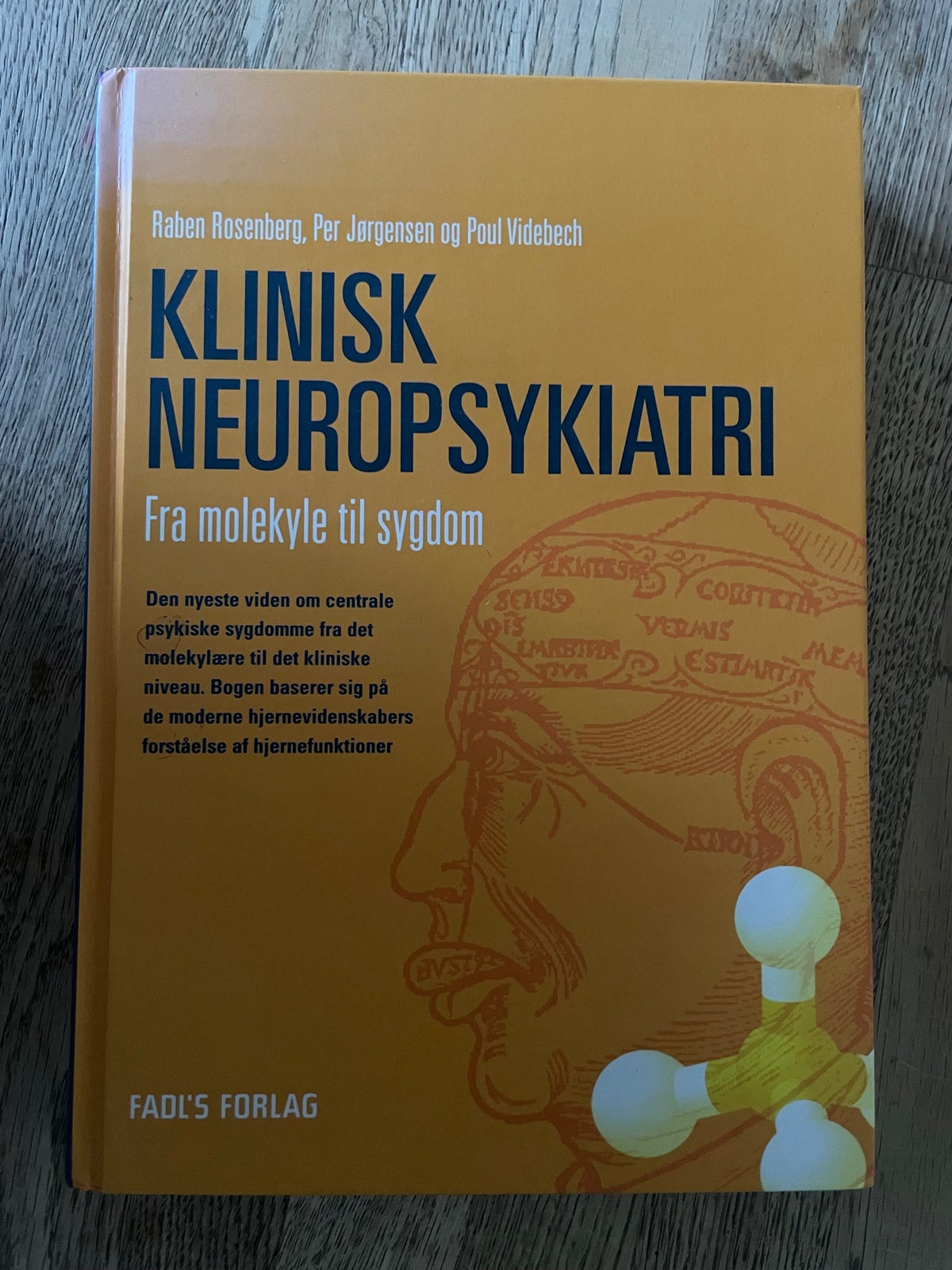 Klinisk neuropsykiatri - fra molekyle til sygdom, Raben