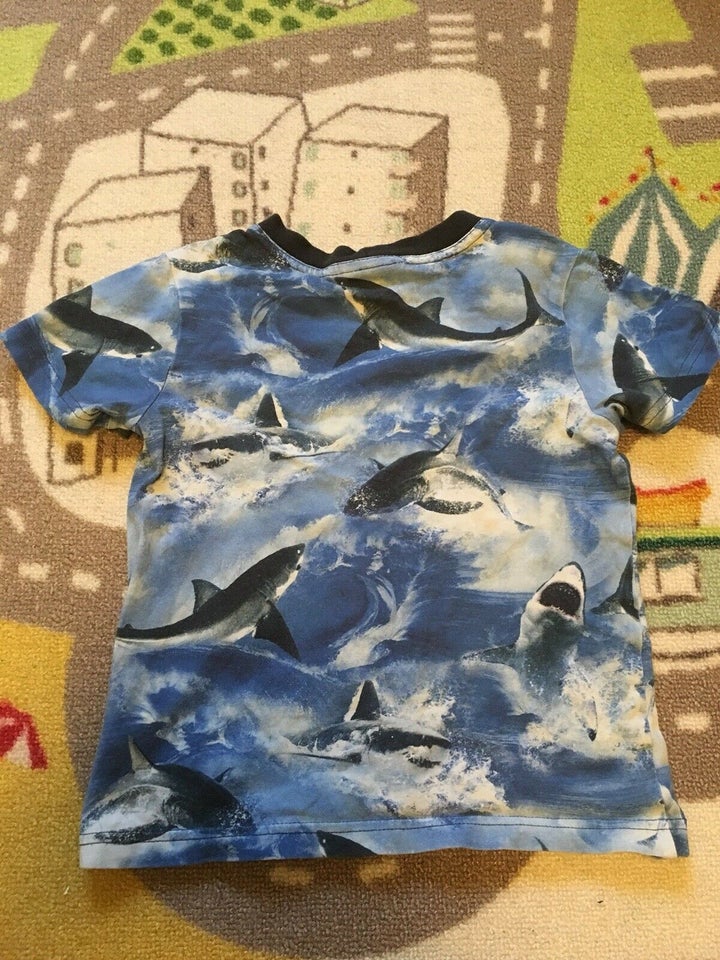 T-shirt, Sharks, Molo