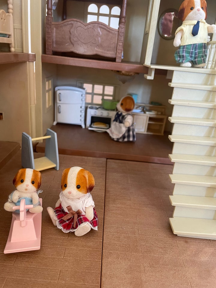 Sylvanian, Sylvanian