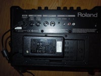Guitarforstærker, Roland AC-33