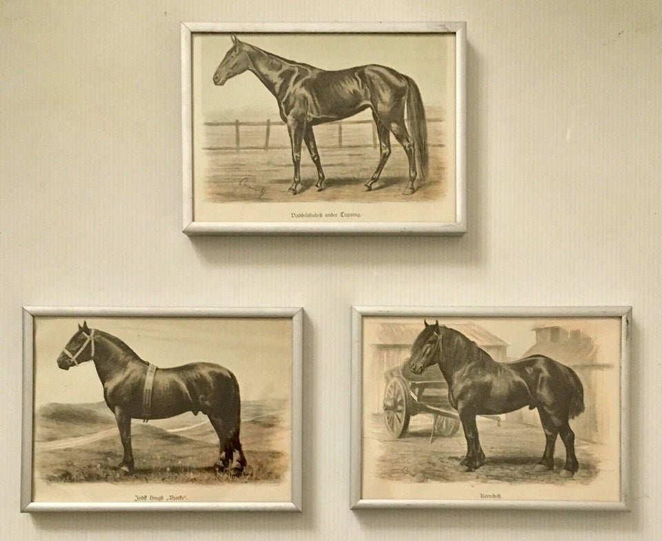 3 Antikke Tryk i Rammer, Oluf August Hermansen, motiv: Heste