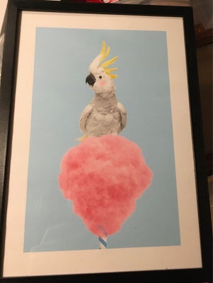 Fotoprint, Desenio, motiv: Cotton Candy Cockatoo l, b: 21 cm h: 30 cm, Sjovt billede til børneværels