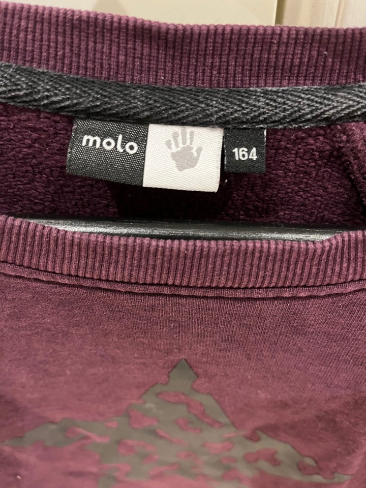 Kjole, Sweatshirt kjole, Molo