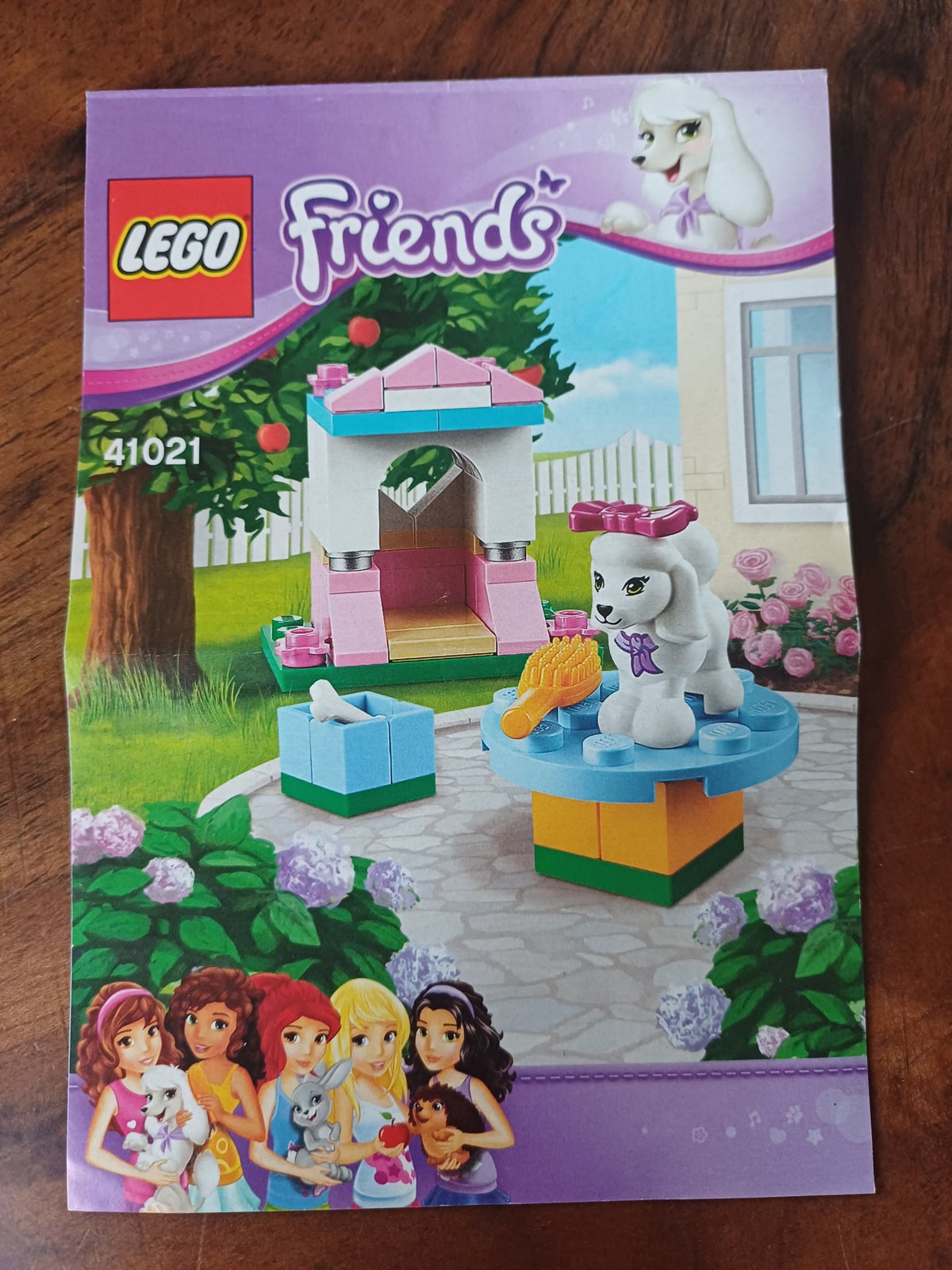 Lego hot sale friends 41021