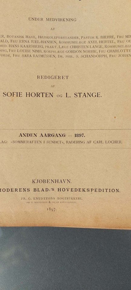 Husmoderens blad, Forskellige , genre: historie