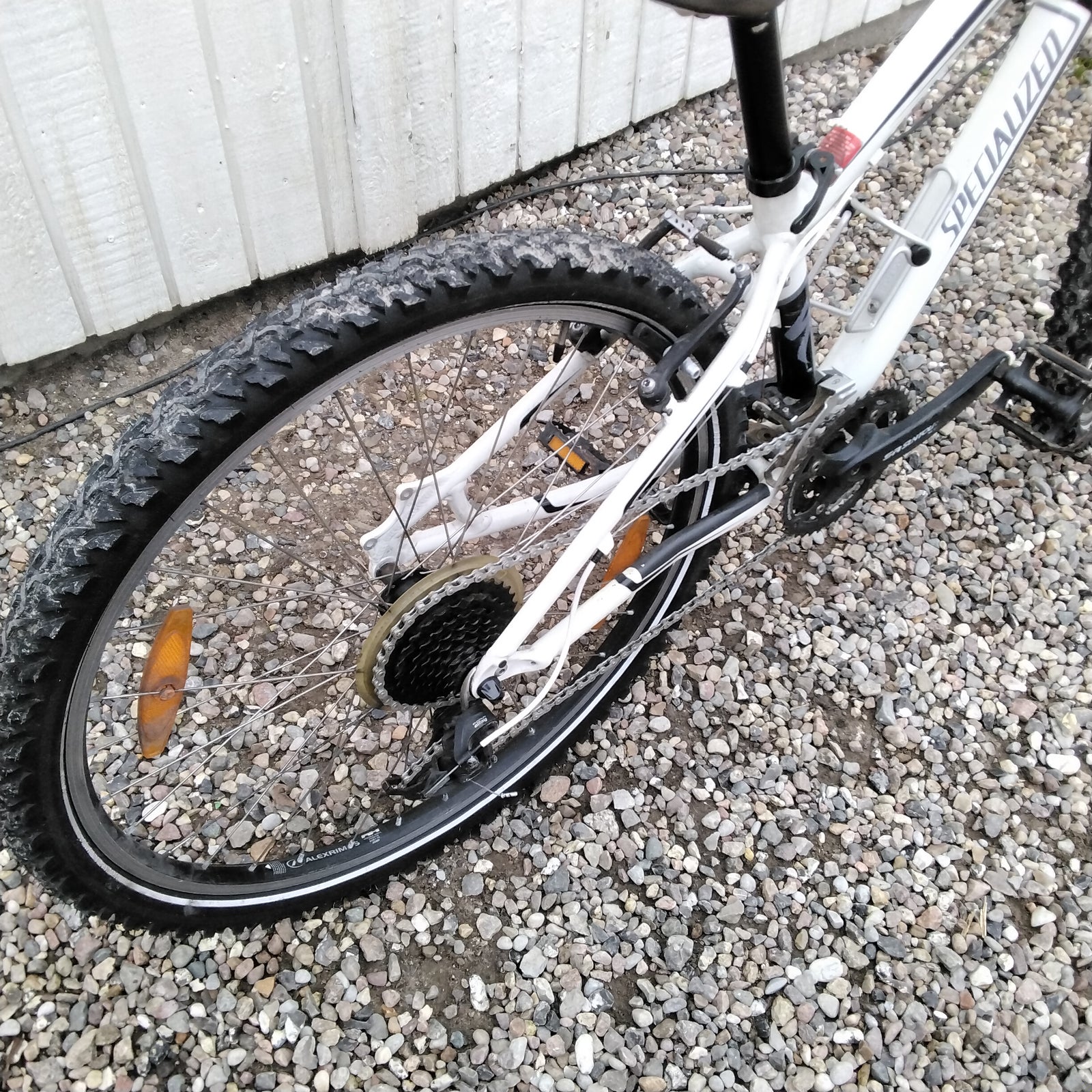 Specialized, hardtail, 13 tommer