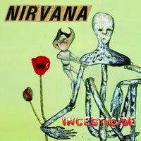 Nirvana: Incesticide, punk