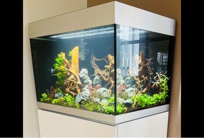 Akvarium, 175 liter, Et pænt og velholdt akvarium med matchende underskab sælges.

Der tale om et ak