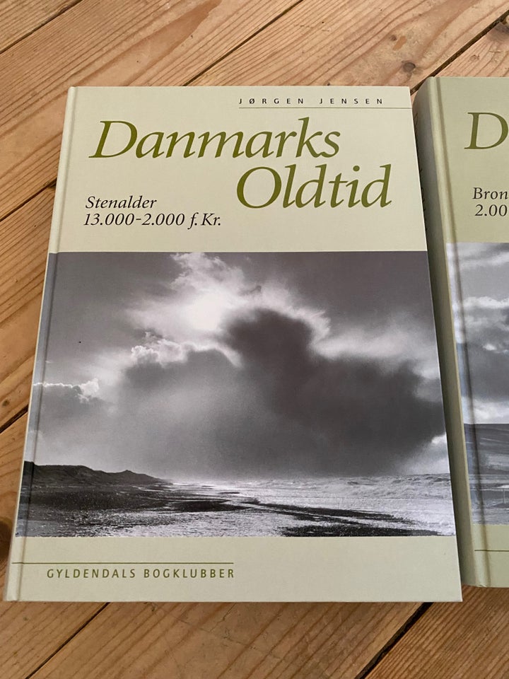 Danmarks oldtid, Jørgen Jensen , emne: historie og samfund