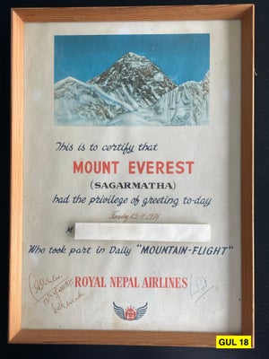 Autografer, ROYAL NEPAL AIRLINES ÅR 1975, GUL NR. 18

AUTOGRAF PÅ PLAKATBILLEDE (BILLEDERAMME)
ROYAL