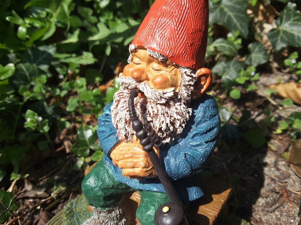 Gnomes, nisser, Rien Poortvliet