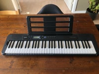 Keyboard, Casio Casiotone CT-S300