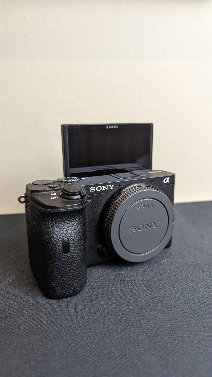 Sony, A6600, 24.2 megapixels