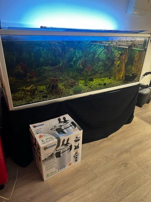 Akvarium, 500 liter, b: 160 d: 55 h: 60, Akvarium med alt hvad du kan se på billederne. Højt med bor