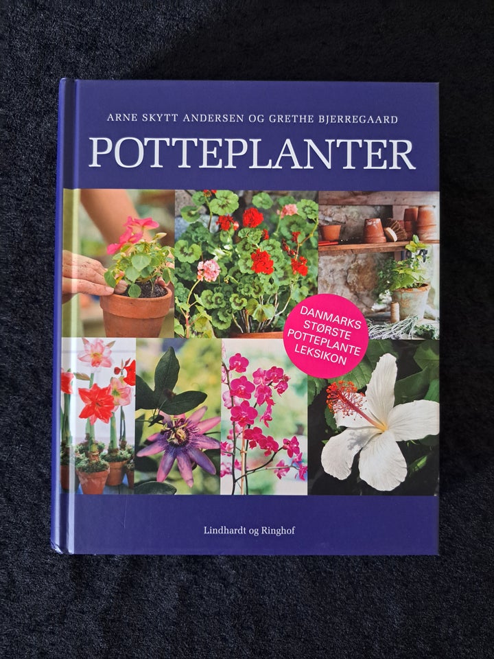 Potteplanter, Arne Skytt Andersen og Grethe Bjerregaard,