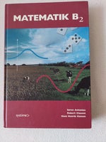 Matematik B2, Søren Antonius, år 2004
