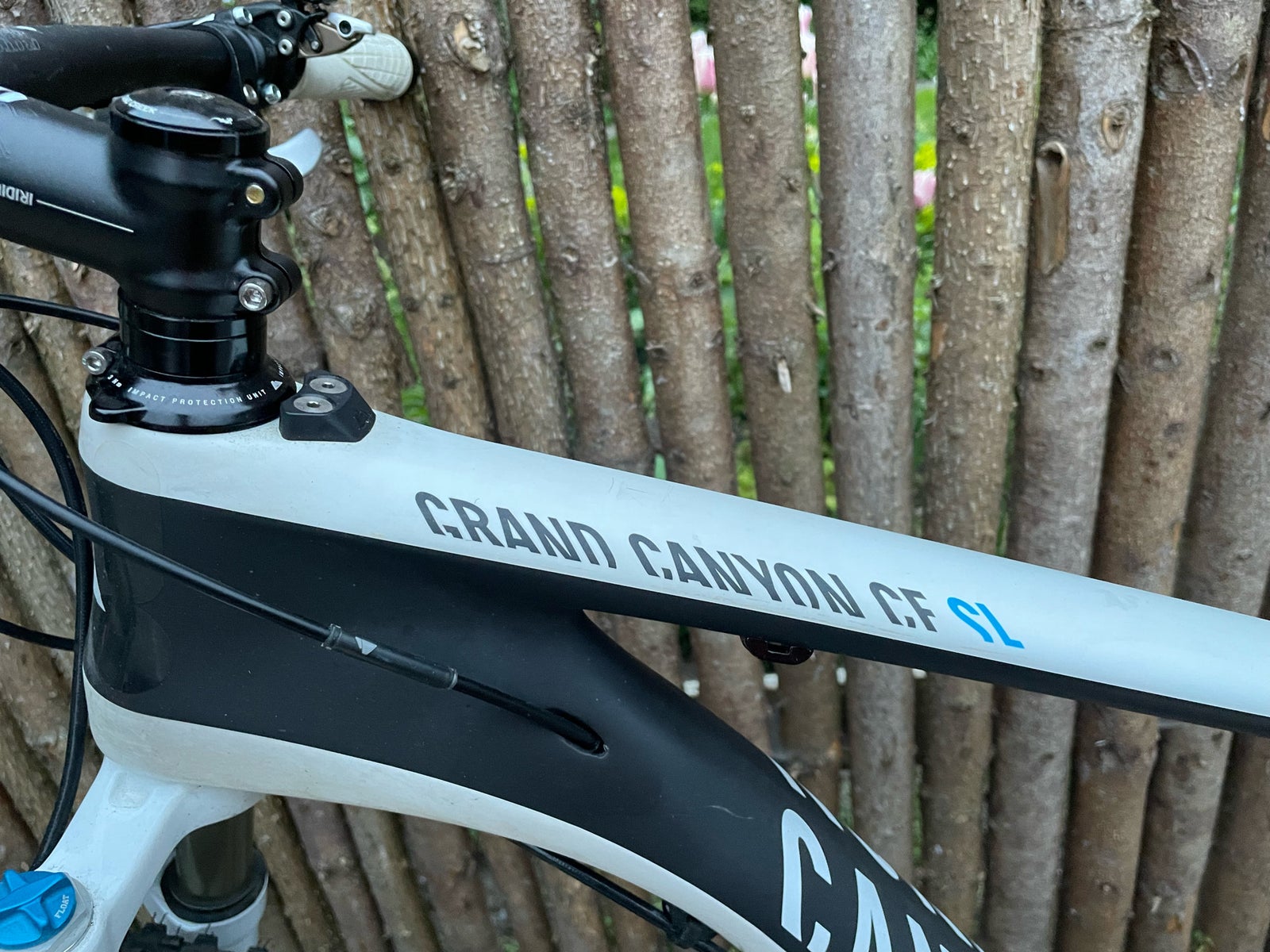 Canyon, hardtail, L tommer